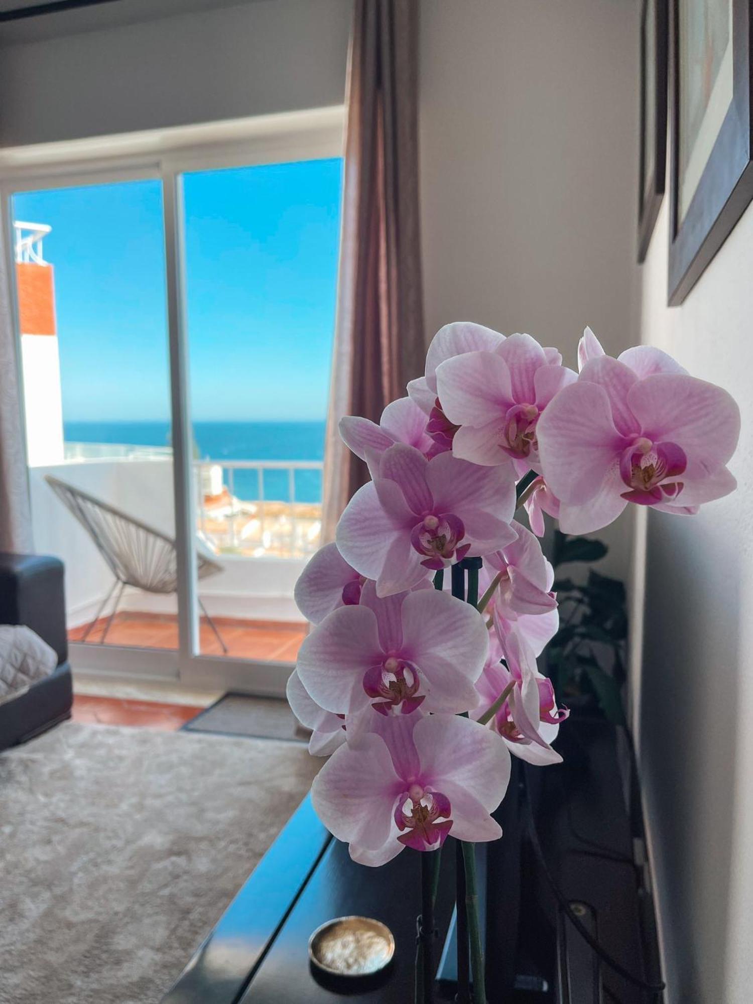 Senhora da Luz Casa Amar- Vista Panoramica 아파트 외부 사진